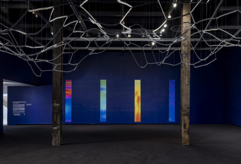 Installation image of Charles Campbell's work installed the the Power Plant.